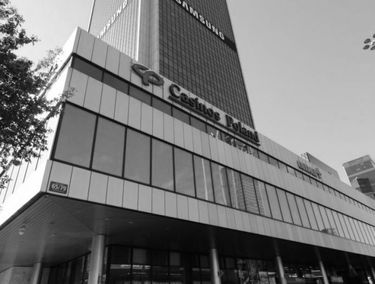 Zdjęcie 15222095
