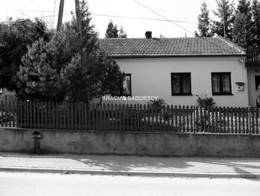 Zdjęcie 15222185