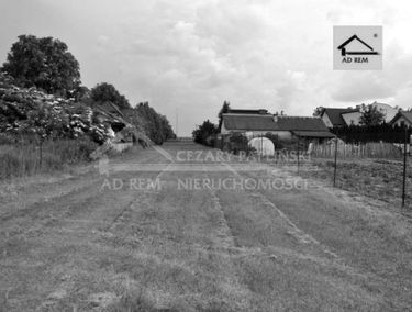 Zdjęcie 15222818