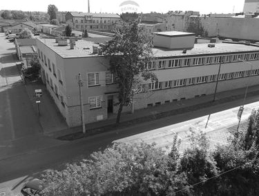 Zdjęcie 15223260