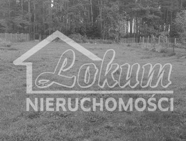 Zdjęcie 15223333