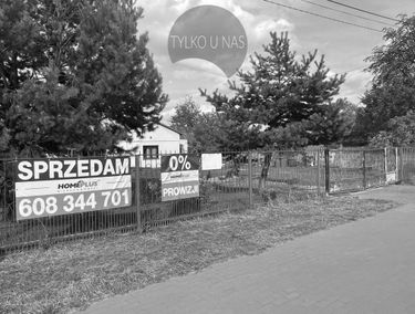 Zdjęcie 15224479