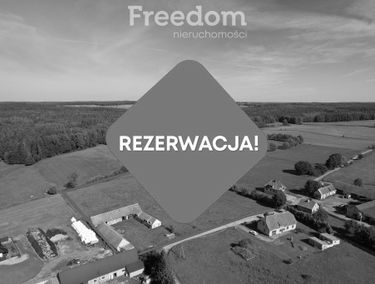 Zdjęcie 15224578