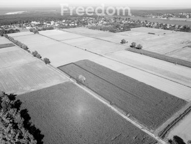 Zdjęcie 15225238