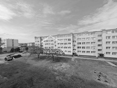 Zdjęcie 15225843