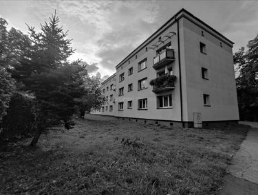Zdjęcie 15225907