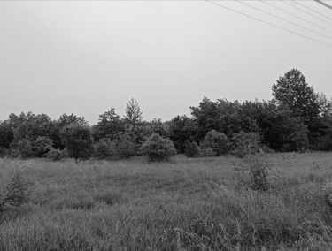 Zdjęcie 15226041