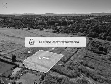 Zdjęcie 15226395
