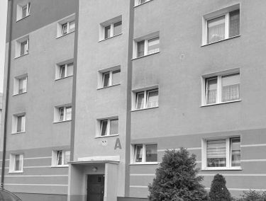 Zdjęcie 15226949