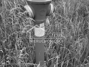 Zdjęcie 15227924