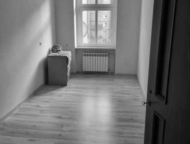 Zdjęcie 15227983