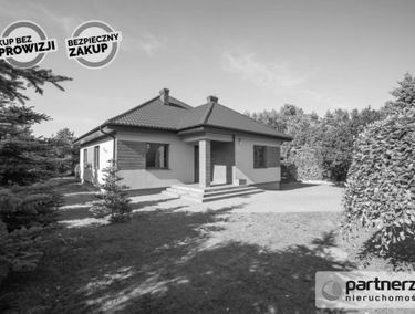 Zdjęcie 15228053