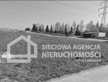 Zdjęcie 15228071