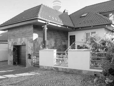Zdjęcie 15228169