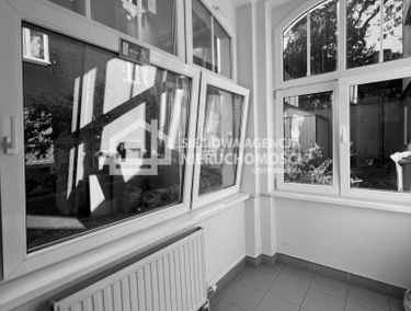 Zdjęcie 15228569