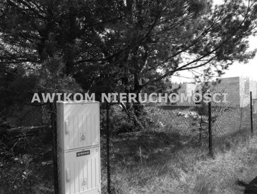 Zdjęcie 15229043