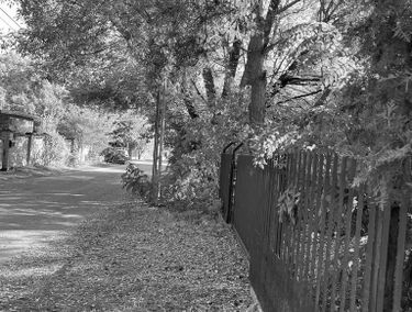 Zdjęcie 15230263