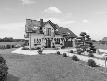 Zdjęcie 15230584