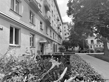 Zdjęcie 15230796