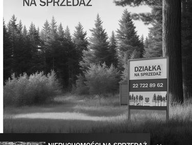 Zdjęcie 15231094
