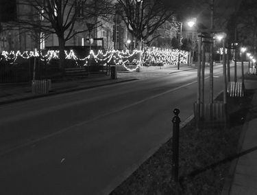 Zdjęcie 15232054