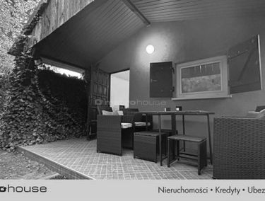 Zdjęcie 15232109