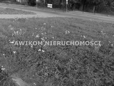 Zdjęcie 15232184