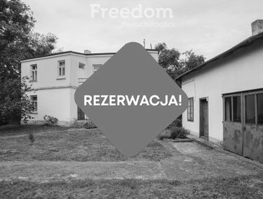 Zdjęcie 15234346