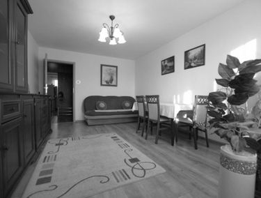 Zdjęcie 15234458