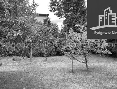 Zdjęcie 15235636