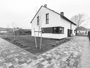 Zdjęcie 15235957