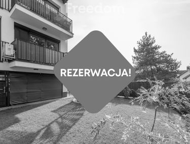 Zdjęcie 15235982