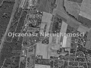 Zdjęcie 15236459