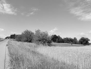 Zdjęcie 15236585