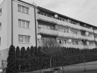 Zdjęcie 15237779