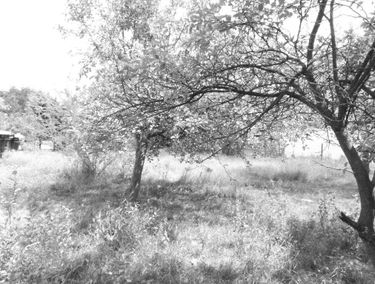 Zdjęcie 15239145