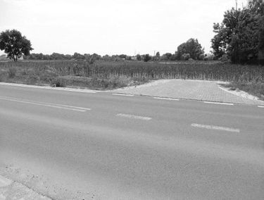 Zdjęcie 15239409
