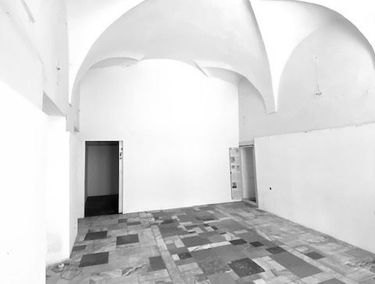 Zdjęcie 15239455