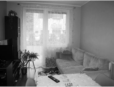 Zdjęcie 15239659