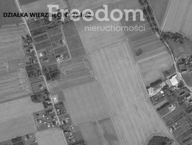 Zdjęcie 15239733