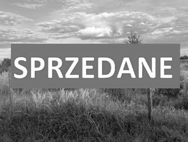 Zdjęcie 15239896