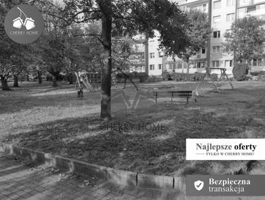 Zdjęcie 15240051
