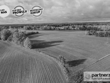 Zdjęcie 15240408