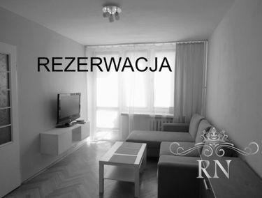 Zdjęcie 15240464