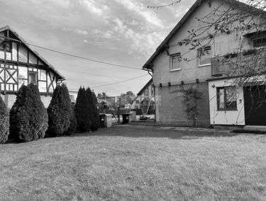 Zdjęcie 15241058