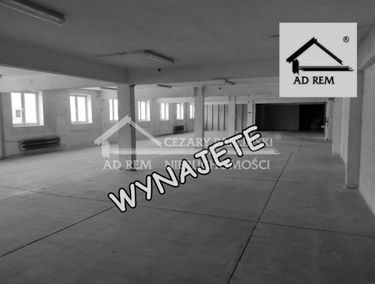 Zdjęcie 15242030