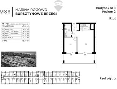 Zdjęcie 15242163