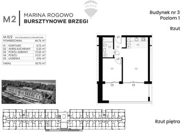 Zdjęcie 15242203