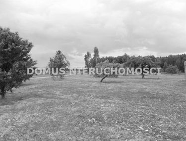 Zdjęcie 15242226