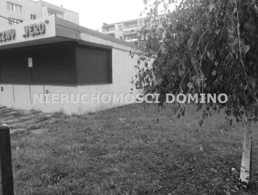 Zdjęcie 15242959